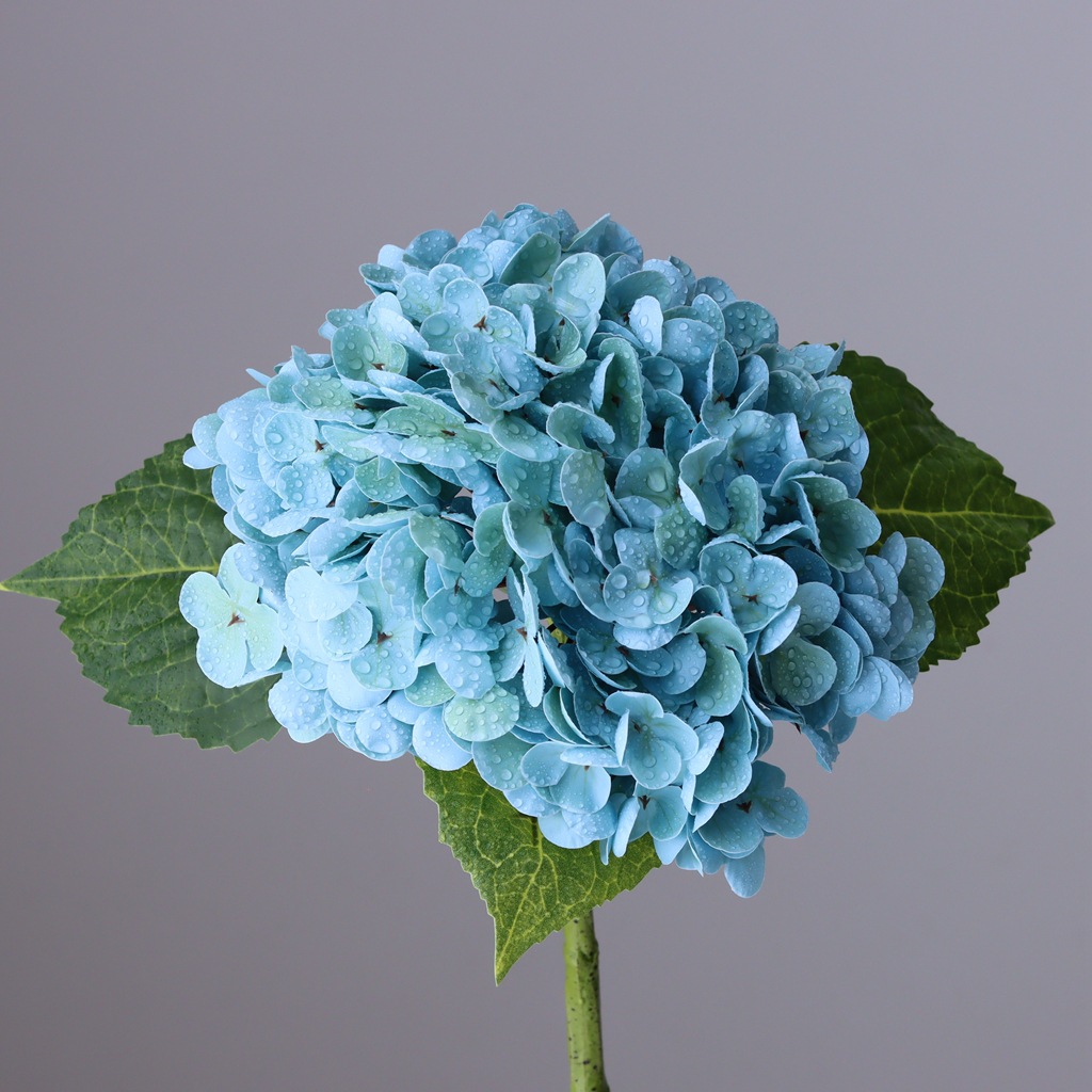 Bleu ciel