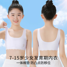 女童内衣发育期小学生12岁10少女文胸初中生女孩一阶段大童小背心