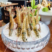 �A�΁�����͸���A�넓����ɫ��偵꺣�r��������r���ò;���˱P