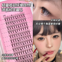 洛兜20排幼态婴儿直假睫毛细梗漫画款超自然眼睫毛大容量狐系分段