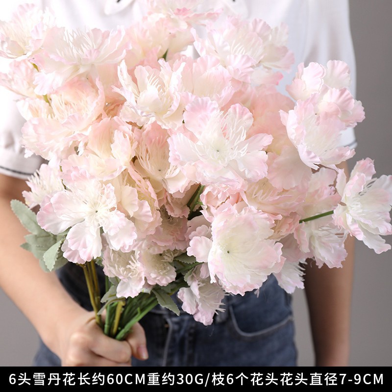 6 Head snow Dan flower