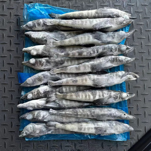 �ϘO���~������~��~���|�r�۲�Ƶ�����ʳ�ı��r���l�~