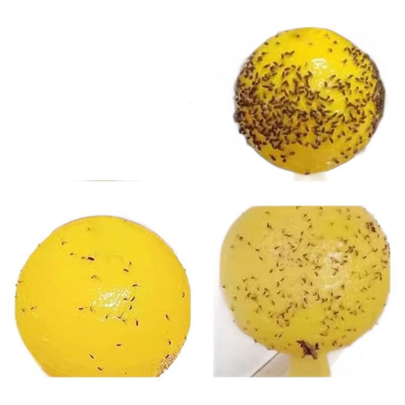 果蝇诱捕器去室内小飞虫灭杀利器克星蚊蠓虫厨房水果店诱粘苍蝇球|undefined
