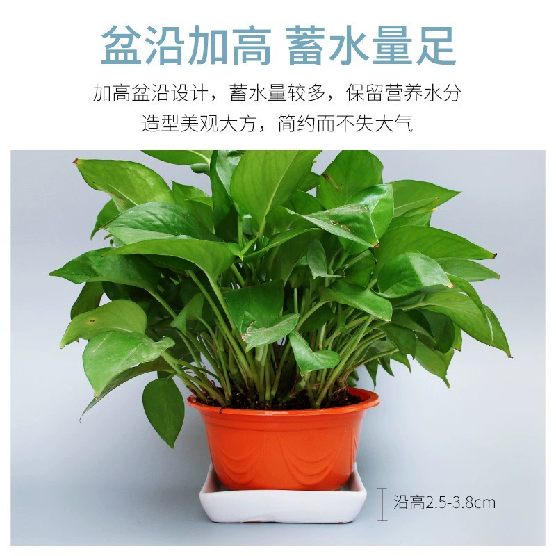 Extra large big ceramic black square flowerpot