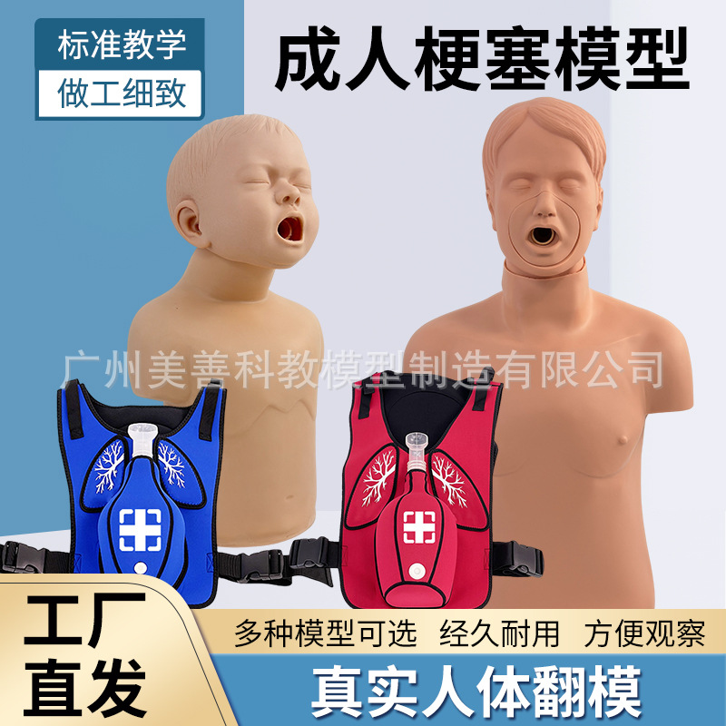 儿童海姆立克急救模型异物哽塞阻海氏急救人体 成人气道梗塞模型