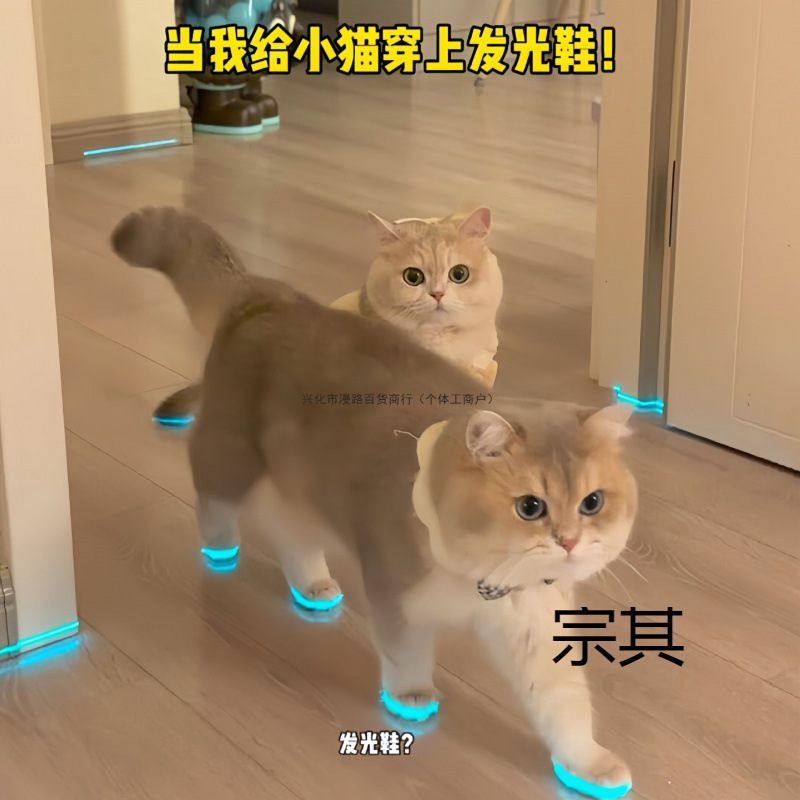 Cat Light-Up Shoes, Pet Dog Shoes, Whistle, Glow-In-The-Dark Children's Toys, Night Photography Accessories, Cat Grooming Accessories Cat Light-Up Shoes, Pet Dog Shoes, Whistle, Glow-In-The-Dark Children's Toys, Night Photography Accessories, Cat Grooming Accessories