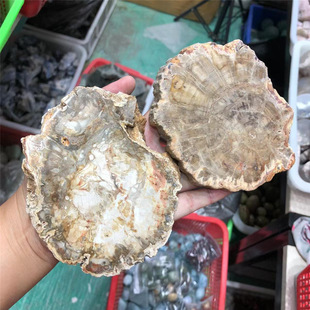 �S�����l��Ȼԭʯľ��ʯ��Ƭ���ﻯʯ�Ҿ��k���[��ˮ����ˇƷ