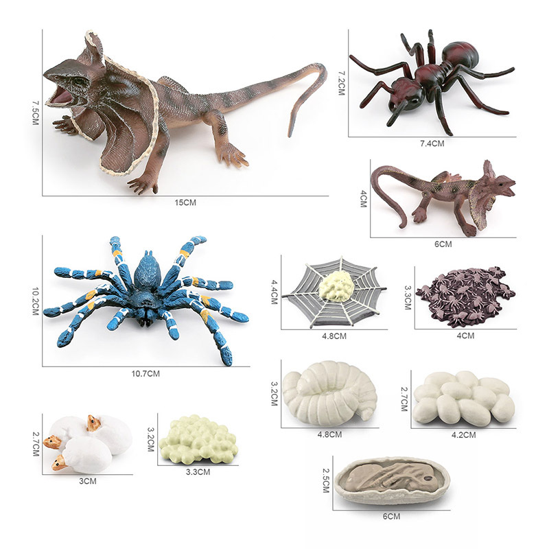 Simulación transfronteriza insecto modelo de ciclo de crecimiento animal captura de aves Araña Hormiga paraguas lagarto proceso de crecimiento decoración juguete