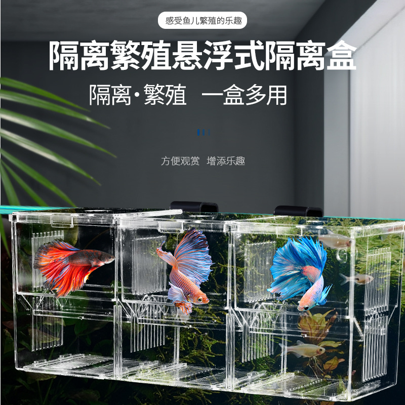 鱼缸孵化隔离盒抽板式透明饲养盒水族缸内孵化盒斗鱼盒挂钩子母盒