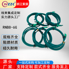 SRNB8-6GB|춃ܺ܇̨ӲӾB