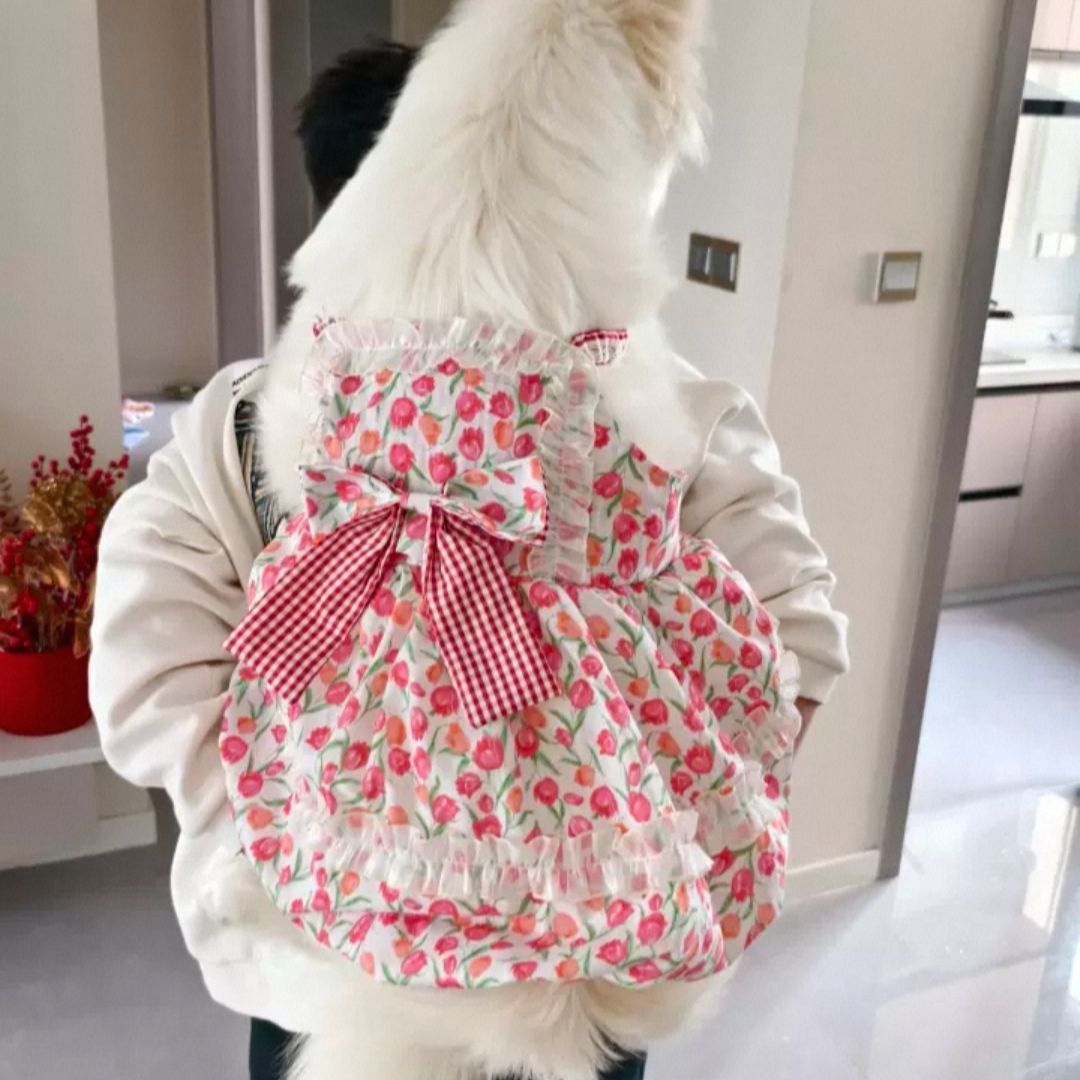 Prinsessklänning för stora hundar retro spetsväst stil kjol_voghion.com