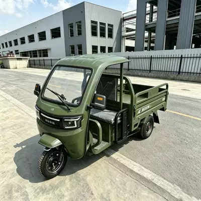 Fuel-Powered, Strong Load Capacity, Sərnişin üçtəkərli motosikllar