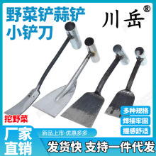铲子园艺种花小铁铲工具家用种菜除草挖土拔草户外挖野菜铲出蒜铲