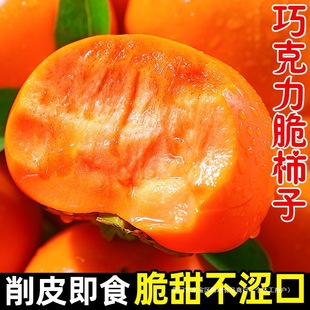 �ɿ���������10�����rˮ�������S��Ӳ���ӻ��خa���ܛ������]