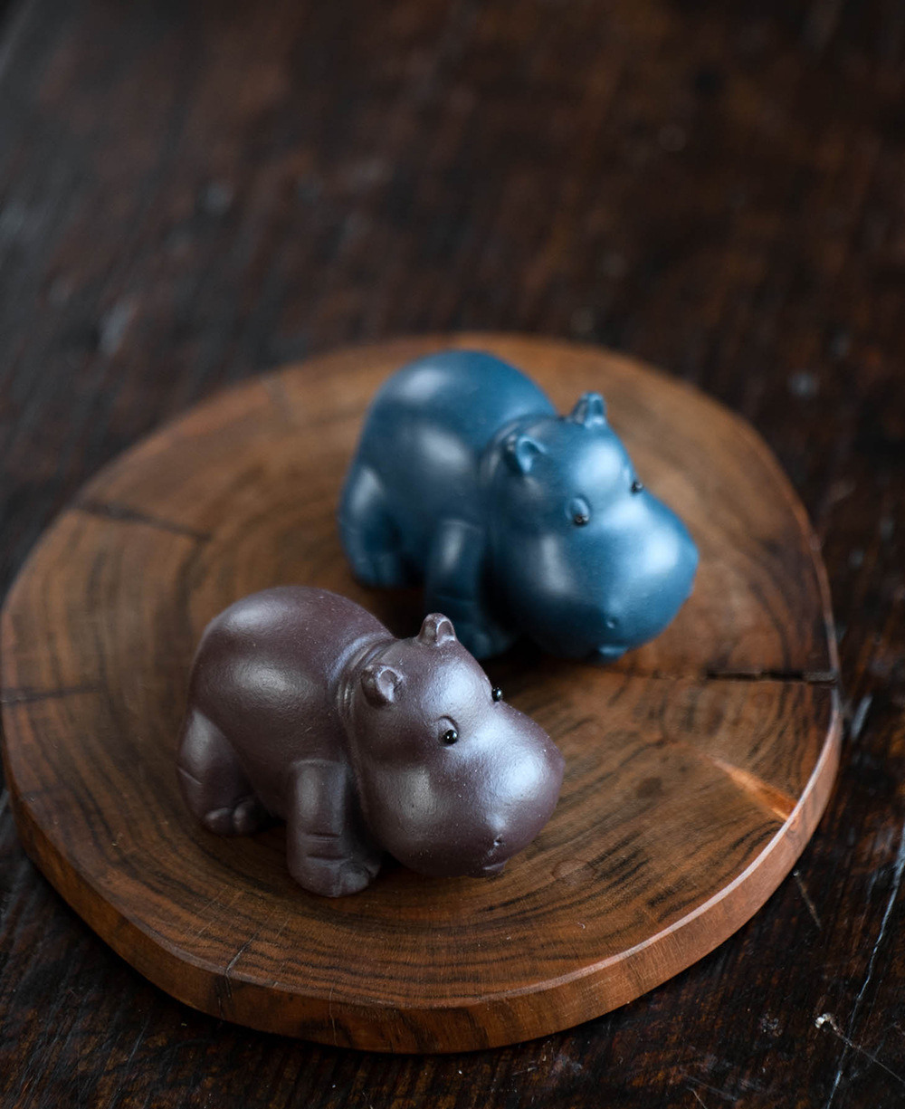 小河马20240528 (3).jpg