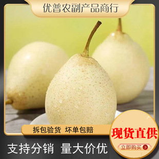 ��������9���������Ӯ����������rˮ��10���l���]5����ӱ�������