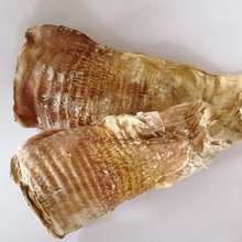 ���S�������S�ɉ�ե�S�}�S����S�r�����Ƹ�ɽ��S �������ƴ��b