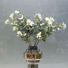 ����С�� ����С�ջ��L�ۻ�ֲ����ľGֲ�Ƶ��b�ˇ