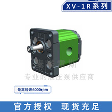 VIVOIL维沃尔X1R2501FBBE进口齿轮泵 液压泵 铝合金齿轮泵