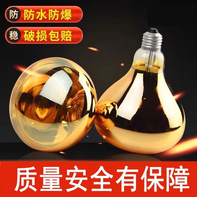 Explosion-proof old-fashioned LED lights for bathroom, lamp