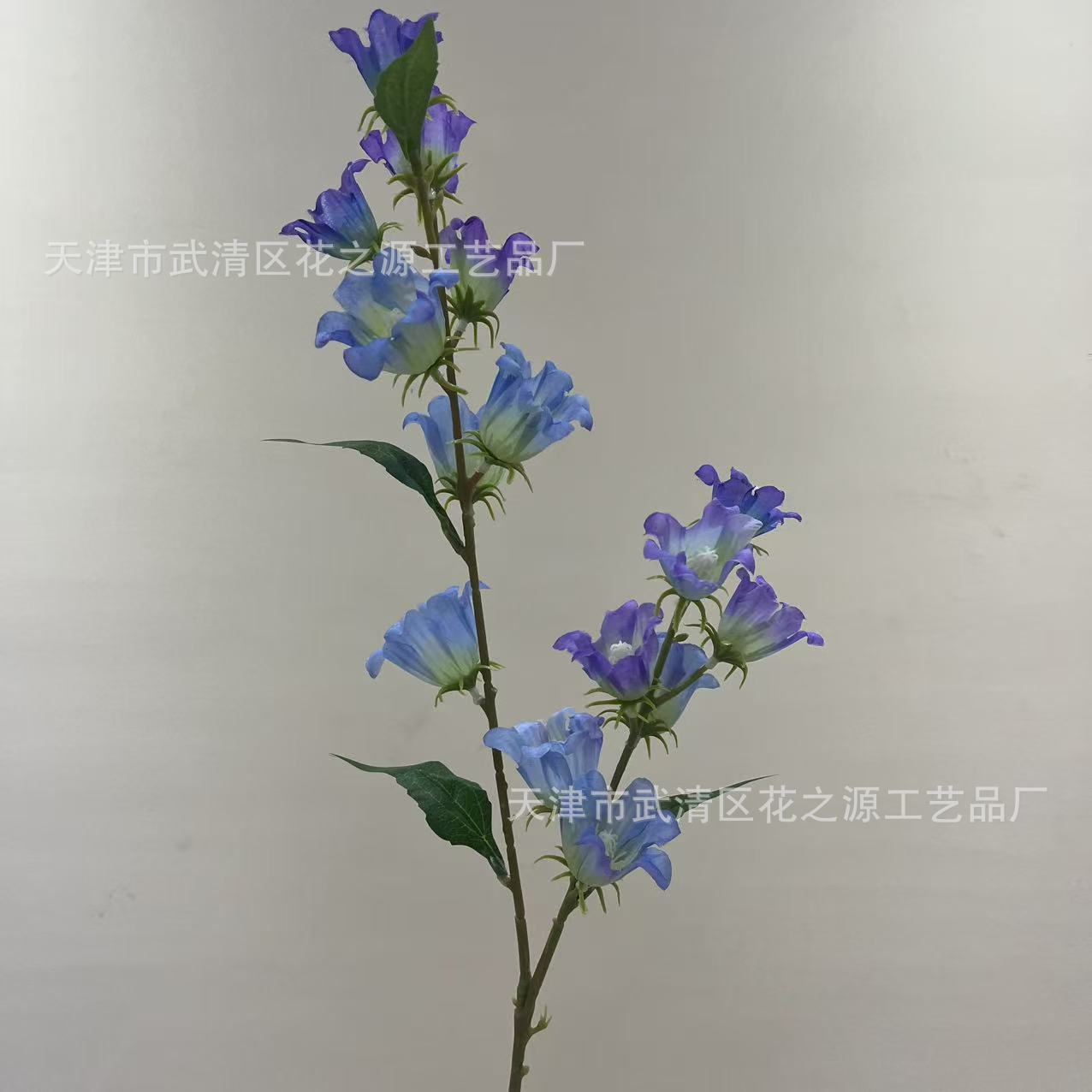 보라색 파란색