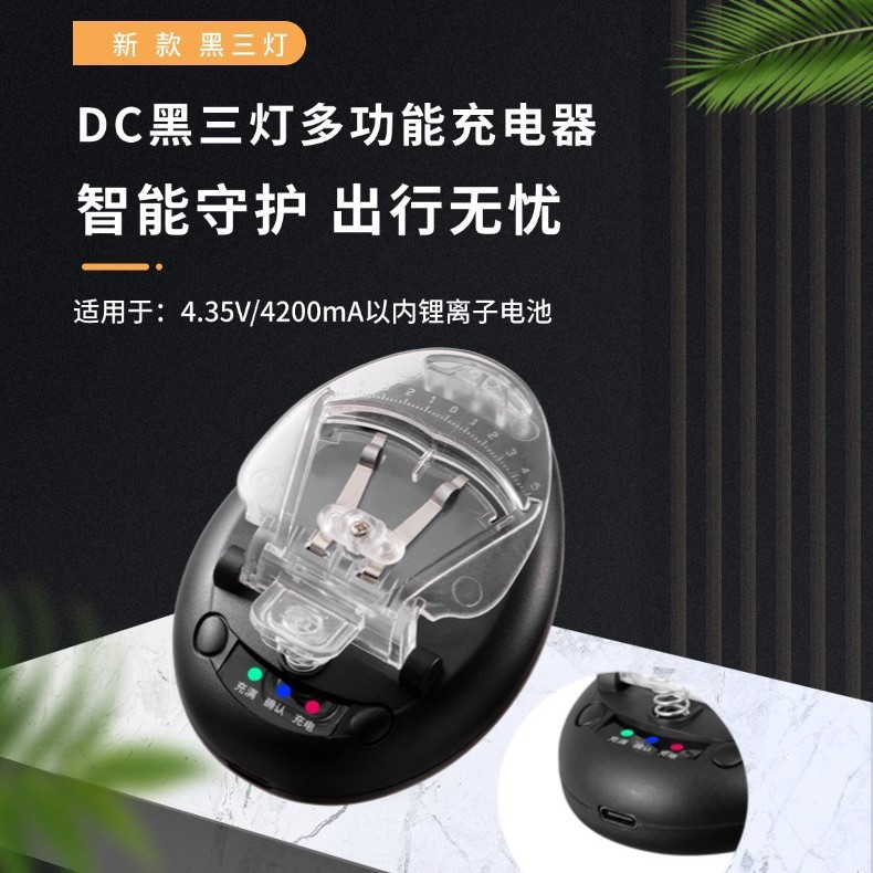 Explosiva transfronteriza LCD LCD cargador estándar europeo cargador de cámara digital Australia cargador universal al por mayor