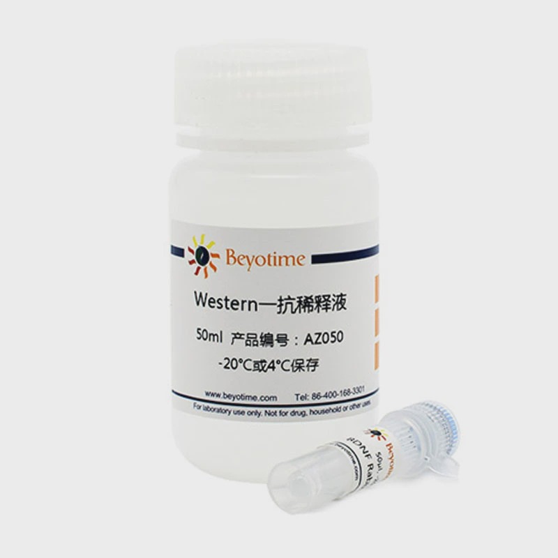 AF1270-50μl，Bax Rabbit Monoclonal Antibody,碧云天