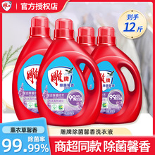 雕牌全渍净除菌除螨洗衣液超值套装薰衣草深层去污渍低泡易漂去渍