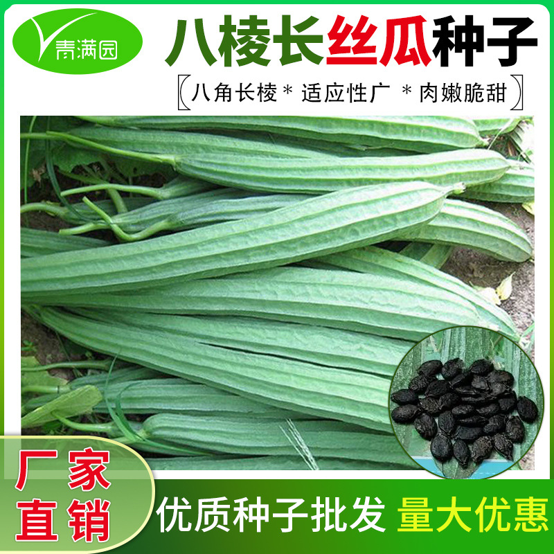 批发八棱丝瓜种子八角长棱大肉清香春季农田菜园籽新种子芽率高