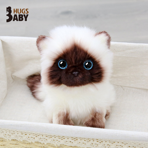 Super cute simulation kitten doll plush toy cute ragdoll Siamese cat doll small doll girl birthday gift