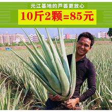 ���������J�C���������辰�Gֲ���ܹ��w���r�J�C��  ������ȩ