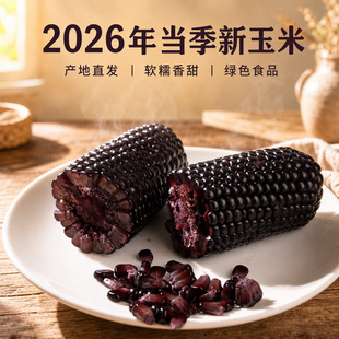 2026�|���^��Ŵ����ճ���װ�����i�r�ּZ�����������l���S���]