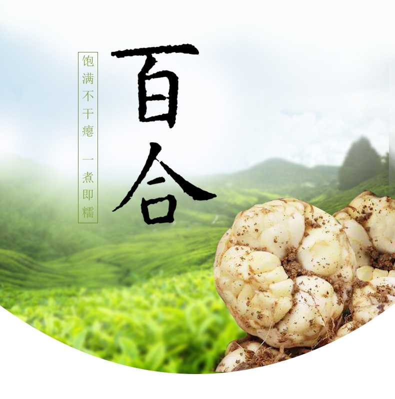 Dried Lily Bulb 500g Longya Baihe Hunan Dried Edible Lily Bulbs for Soup and Congee overview