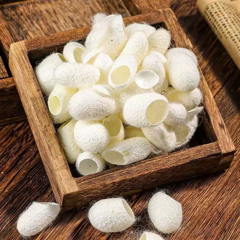 Silkworm Cocoon Shell (Bombyx mori) — Dried TCM Herb, Clean Unsulfured, 500g in use