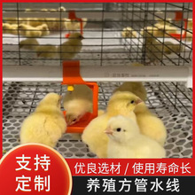加工定制养殖场鸡用方管水线卡式乳头饮水器水线管养鸡饮水线设备