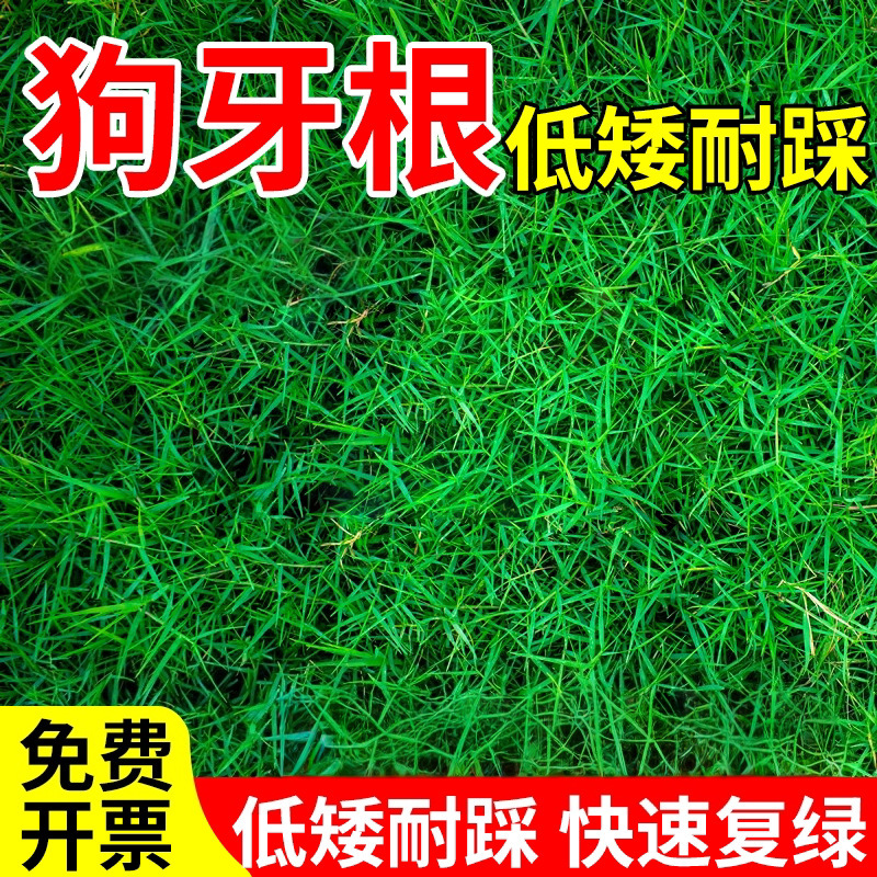 产品展示图