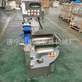 大型肉制品切丁机价格 冻肉切丁机厂家 电动蔬菜切丝切片机图片