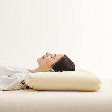 疆棉枕头枕芯护颈椎助睡眠荞麦壳软低枕硬中枕决明子高枕一对家用