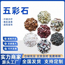 五彩石厂家供应水洗五彩石五彩玉石园艺水族汗蒸房用水磨石骨料
