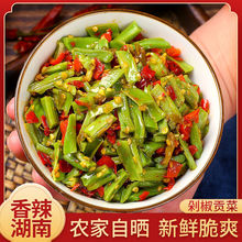 脆嫩剁椒贡菜下饭菜香辣瓶装开味凉拌即食苔菜咸菜脆椒湖南特产