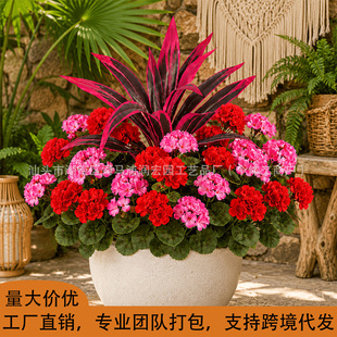 �羳���R�d���N���滨���Ļ��ٻ��Ҿӿ͏d���ÿ��b���Ѫ�����l�S