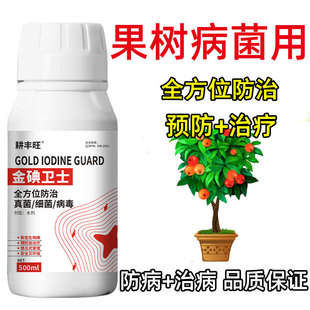 ���䲡���Ú������˙�������������֦�O����䚢�����䲡������ș
