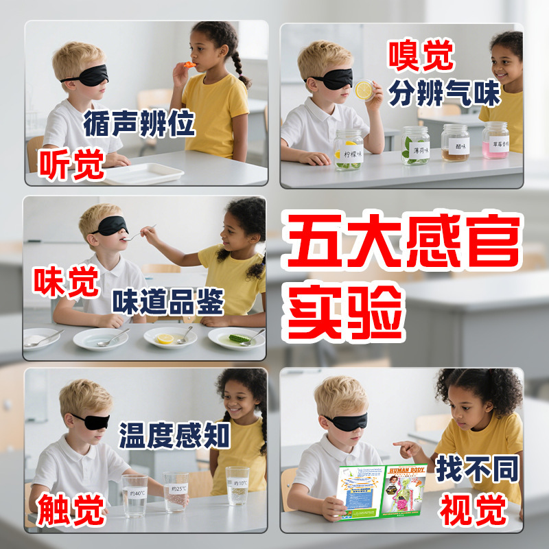 跨境人体骨骼模型玩具套装儿童人体科教实验拼装躯体结构益智玩具|undefined