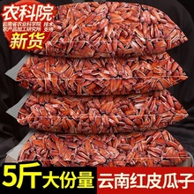 rԺϼtƤ؛wԭζˮŴԹeʳ