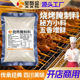 星馨盛 五香烧烤腌制料 炸串烧烤调味腌制粉商用餐饮店调味料工厂
