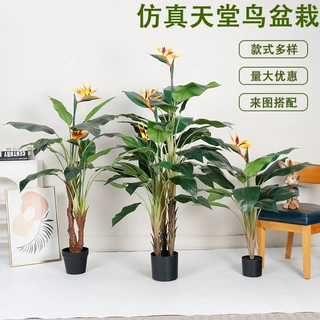 高仿真绿植天堂鸟客厅玄关落地假盆栽酒店橱窗装饰造景假植物定制