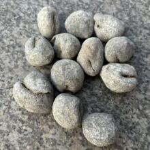 水发海参批发大头珍珠球参45头左右 批发 龙眼参 乌圆球参 小球参