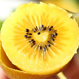 �������l �����m�S���殐��  �J���ҹ����� �ϱ���ͥԺ���ԷNֲ