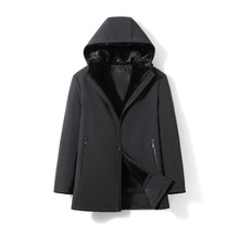 Ƥˮđɿ˷ʿ˷ƤƤ׶