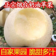 ��̨���͸�ʿ�O��ˮ�����r�S�{˹�����SƤţ�̰�ɫ�������S��